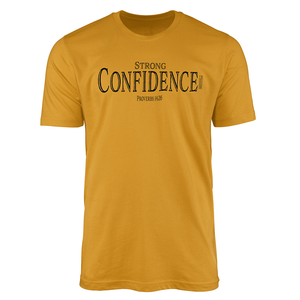 Proverbs 14:26 - Strong Confidence